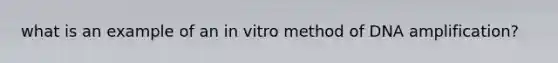 what is an example of an in vitro method of DNA amplification?