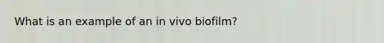 What is an example of an in vivo biofilm?