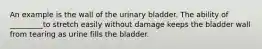 An example is the wall of the urinary bladder. The ability of _________to stretch easily without damage keeps the bladder wall from tearing as urine fills the bladder.