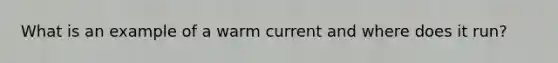 What is an example of a warm current and where does it run?