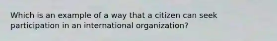 Which is an example of a way that a citizen can seek participation in an international organization?