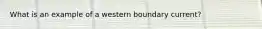 What is an example of a western boundary current?