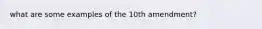 what are some examples of the 10th amendment?