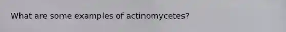 What are some examples of actinomycetes?