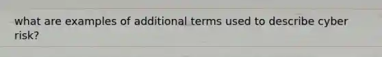 what are examples of additional terms used to describe cyber risk?