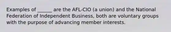 Examples of ______ are the AFL-CIO (a union) and the National Federation of Independent Business, both are voluntary groups with the purpose of advancing member interests.