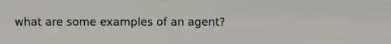 what are some examples of an agent?