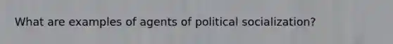 What are examples of agents of political socialization?