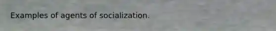 Examples of agents of socialization.