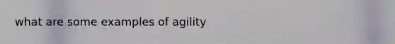 what are some examples of agility