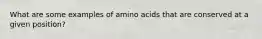 What are some examples of amino acids that are conserved at a given position?