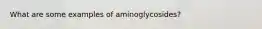 What are some examples of aminoglycosides?