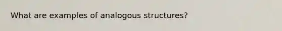 What are examples of analogous structures?