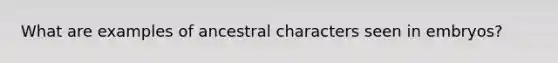 What are examples of ancestral characters seen in embryos?