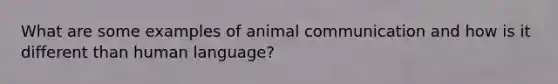 What are some examples of animal communication and how is it different than human language?