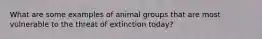 What are some examples of animal groups that are most vulnerable to the threat of extinction today?