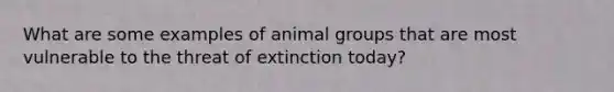 What are some examples of animal groups that are most vulnerable to the threat of extinction today?