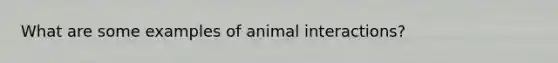 What are some examples of animal interactions?