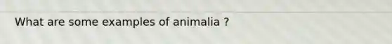 What are some examples of animalia ?