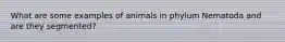 What are some examples of animals in phylum Nematoda and are they segmented?