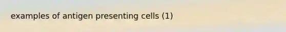 examples of antigen presenting cells (1)