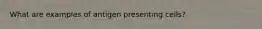 What are examples of antigen presenting cells?
