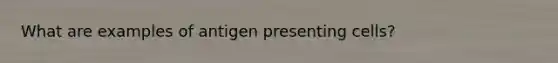 What are examples of antigen presenting cells?