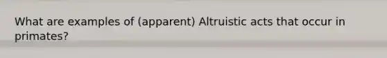 What are examples of (apparent) Altruistic acts that occur in primates?