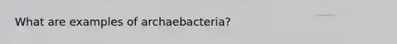 What are examples of archaebacteria?