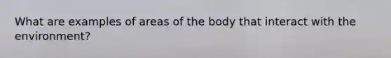 What are examples of areas of the body that interact with the environment?