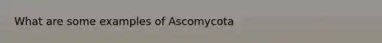 What are some examples of Ascomycota