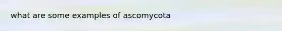 what are some examples of ascomycota