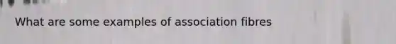 What are some examples of association fibres