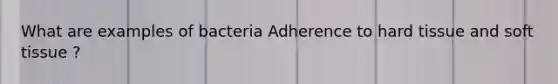 What are examples of bacteria Adherence to hard tissue and soft tissue ?