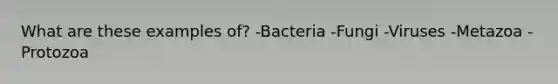 What are these examples of? -Bacteria -Fungi -Viruses -Metazoa -Protozoa