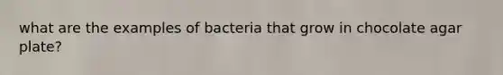 what are the examples of bacteria that grow in chocolate agar plate?