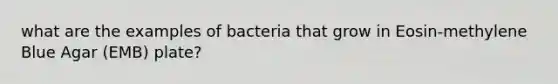 what are the examples of bacteria that grow in Eosin-methylene Blue Agar (EMB) plate?