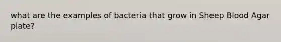 what are the examples of bacteria that grow in Sheep Blood Agar plate?