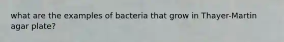 what are the examples of bacteria that grow in Thayer-Martin agar plate?