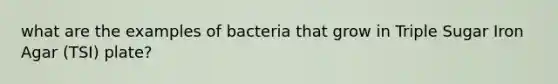 what are the examples of bacteria that grow in Triple Sugar Iron Agar (TSI) plate?