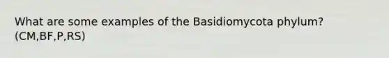 What are some examples of the Basidiomycota phylum? (CM,BF,P,RS)