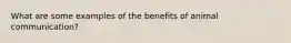 What are some examples of the benefits of animal communication?