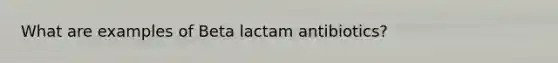 What are examples of Beta lactam antibiotics?