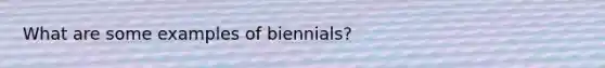 What are some examples of biennials?