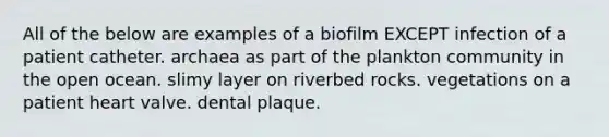 All of the below are examples of a biofilm EXCEPT infection of a patient catheter. archaea as part of the plankton community in the open ocean. slimy layer on riverbed rocks. vegetations on a patient heart valve. dental plaque.