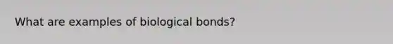 What are examples of biological bonds?