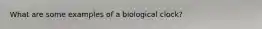 What are some examples of a biological clock?