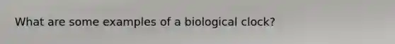 What are some examples of a biological clock?