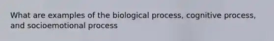 What are examples of the biological process, cognitive process, and socioemotional process