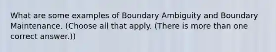 What are some examples of Boundary Ambiguity and Boundary Maintenance. (Choose all that apply. (There is more than one correct answer.))